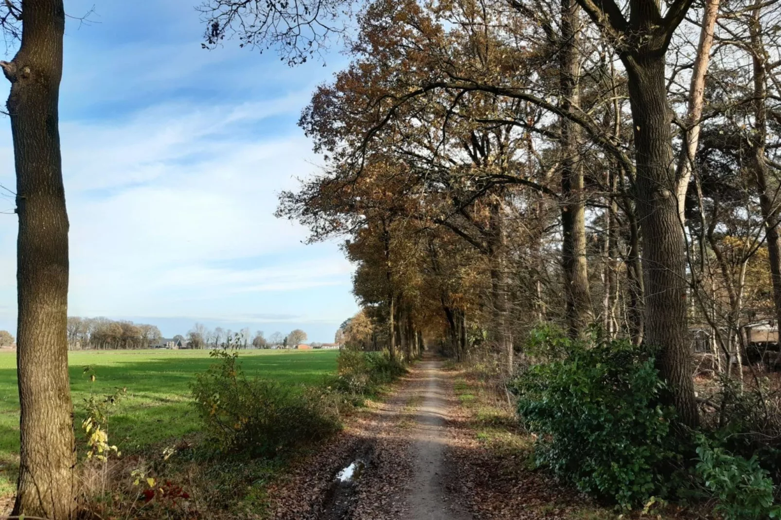 De Bonte Specht-Gebied winter 1km