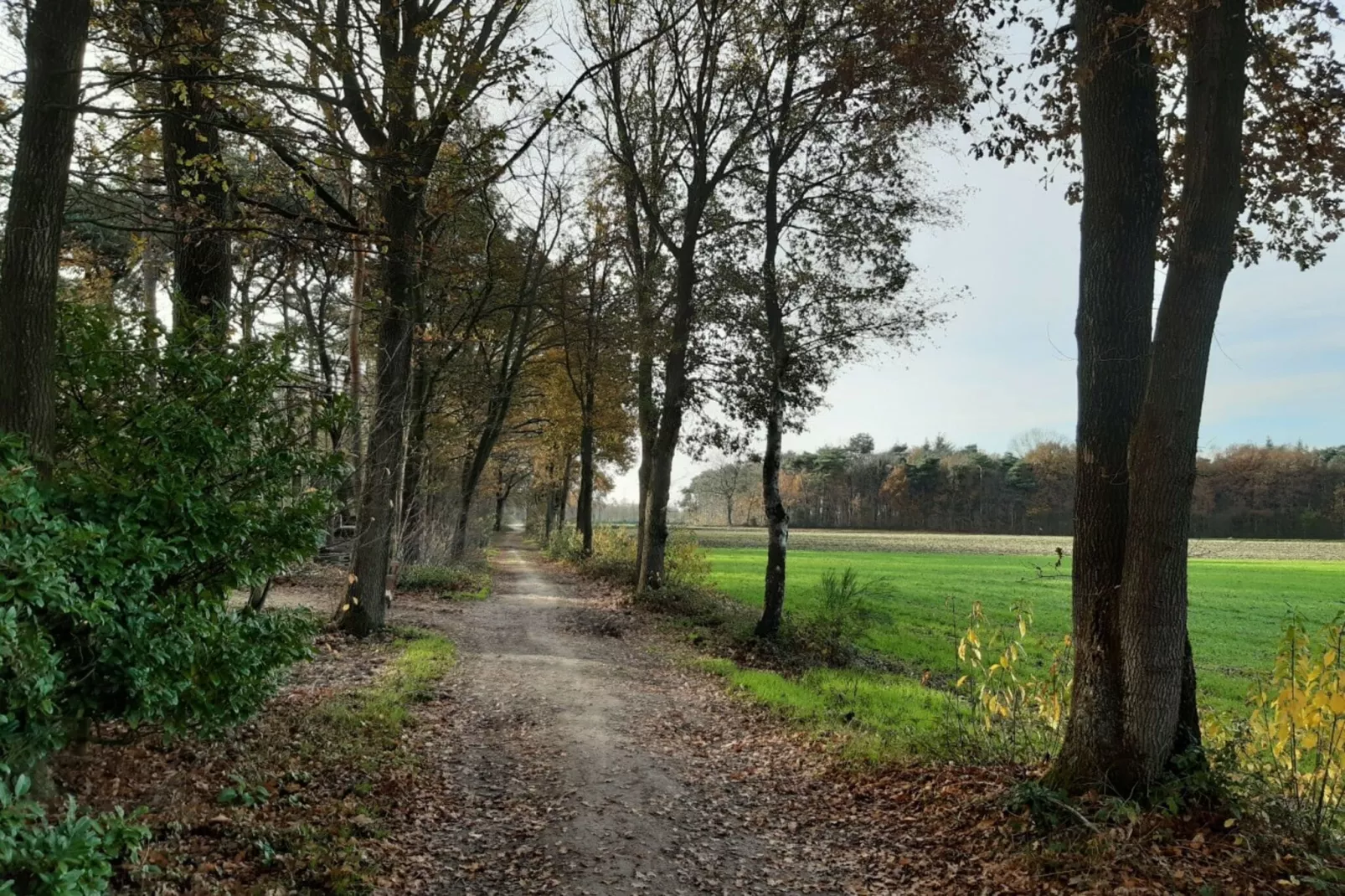 De Bonte Specht-Gebied winter 1km