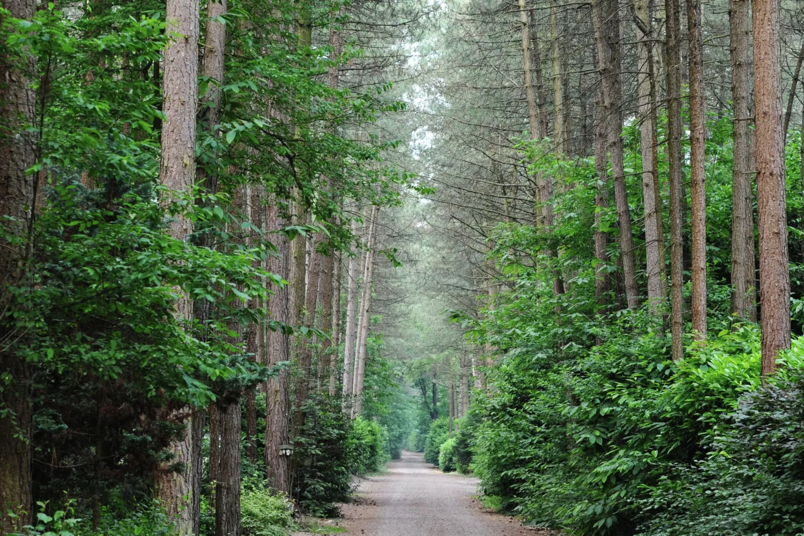 Parc de Kievit 6-Gebieden zomer 1km