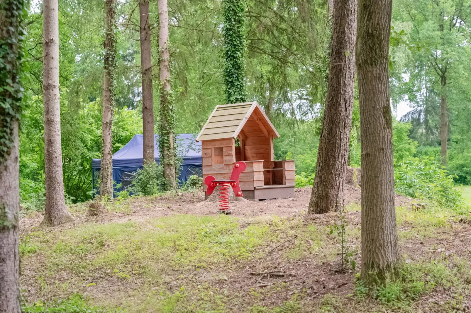 Chalet in Vledder-Tuinen zomer