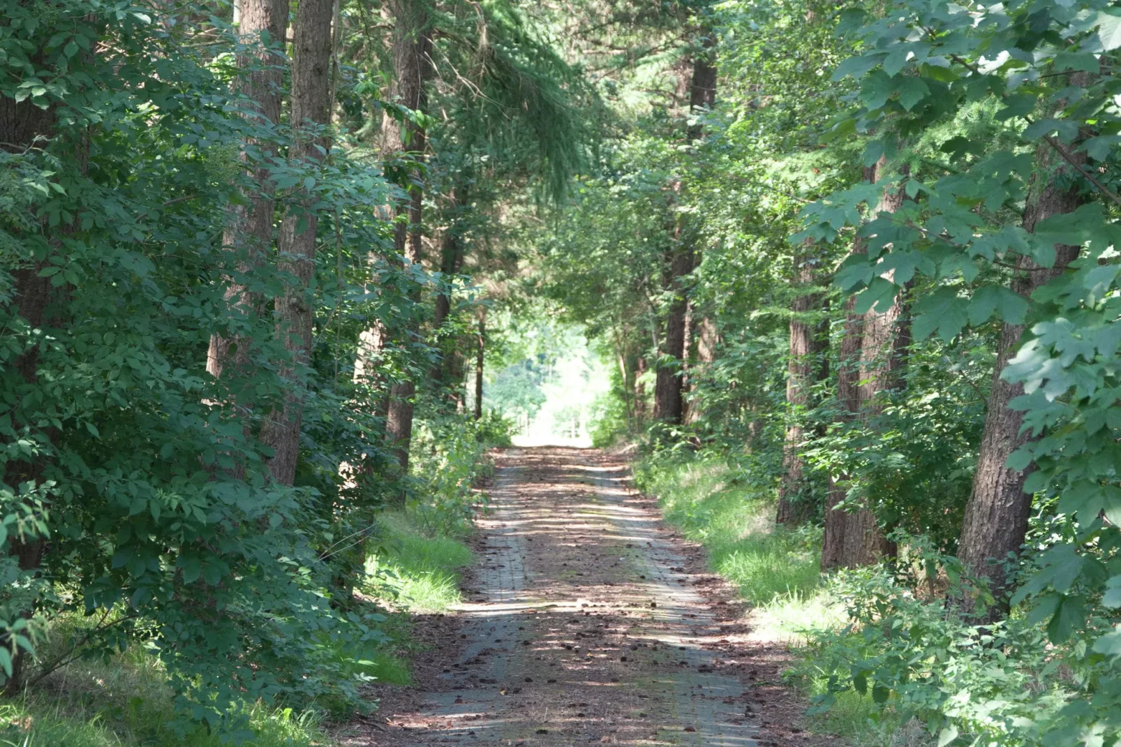 Landhuis de Linde-Gebieden zomer 1km