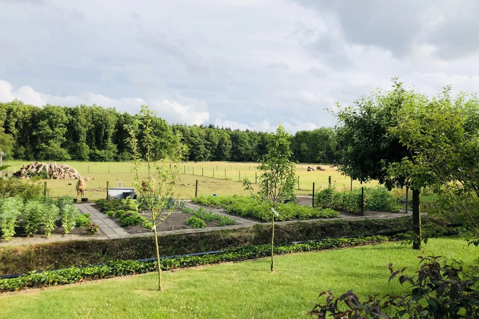 Buitenhuis De Stelling-Uitzicht zomer