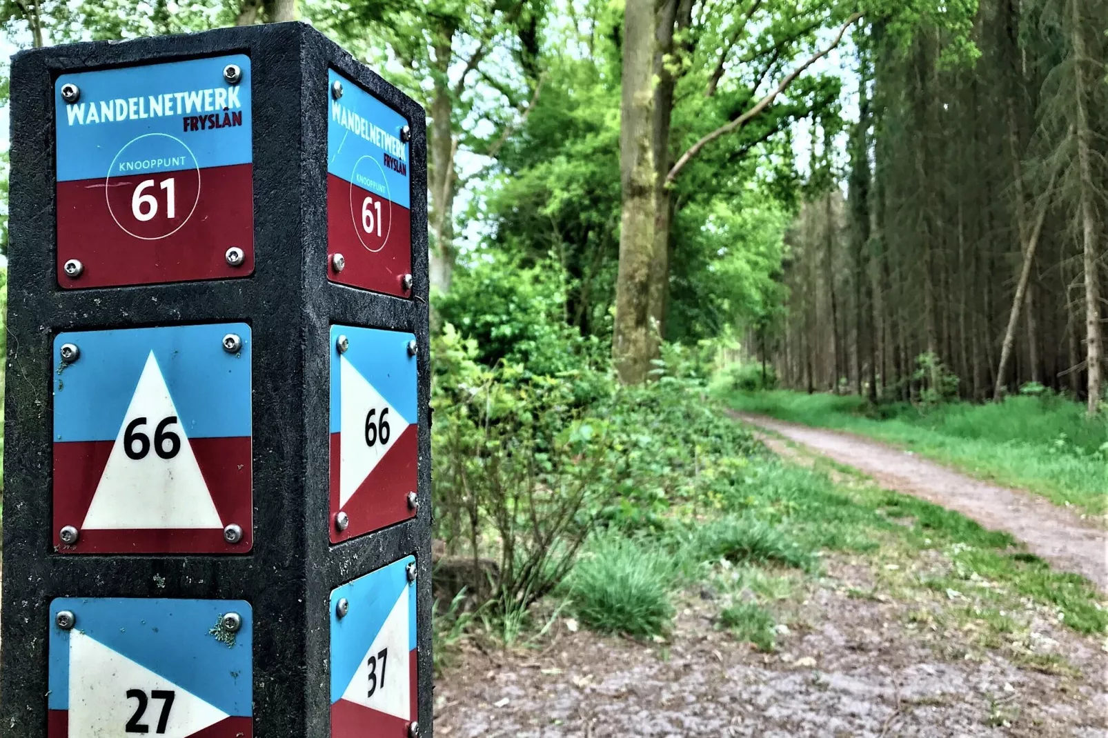 Buitenhuis De Stelling-Gebieden zomer 5km