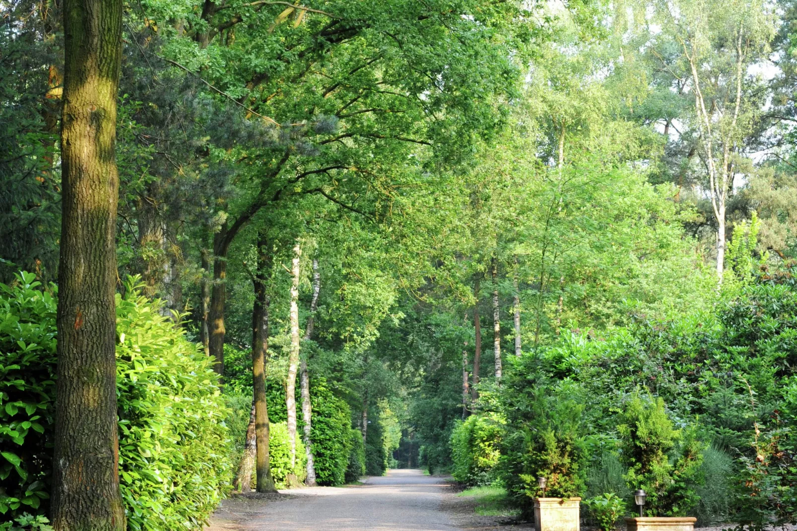 Robuust huis met twee badkamers, op een vakantiepark bij Baarle-Nassau-Gebieden zomer 1km