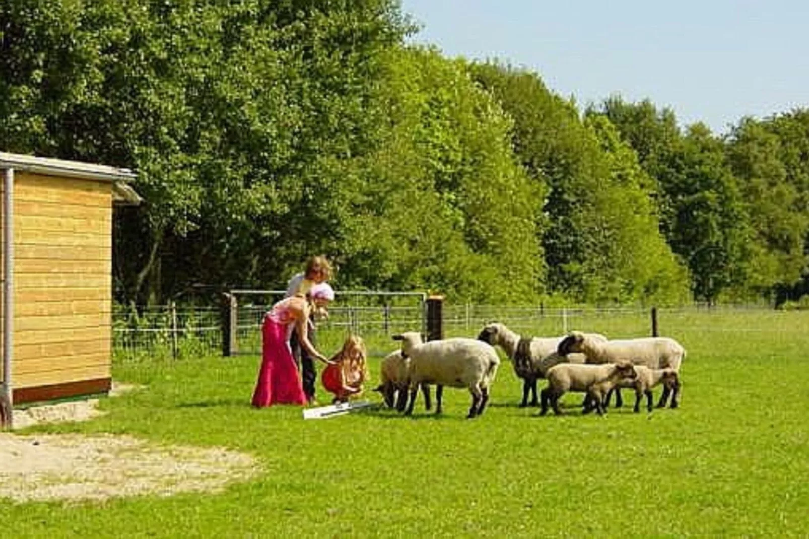 Buitenhuis De Stelling-Gebieden zomer 5km