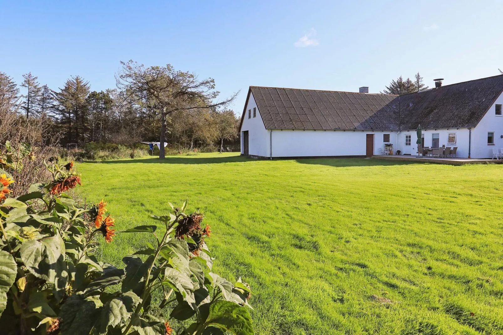 4 persoons vakantie huis in Hjørring-Uitzicht