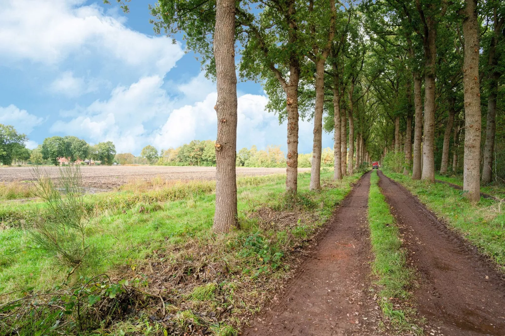 De dikke kei-Gebieden zomer 1km