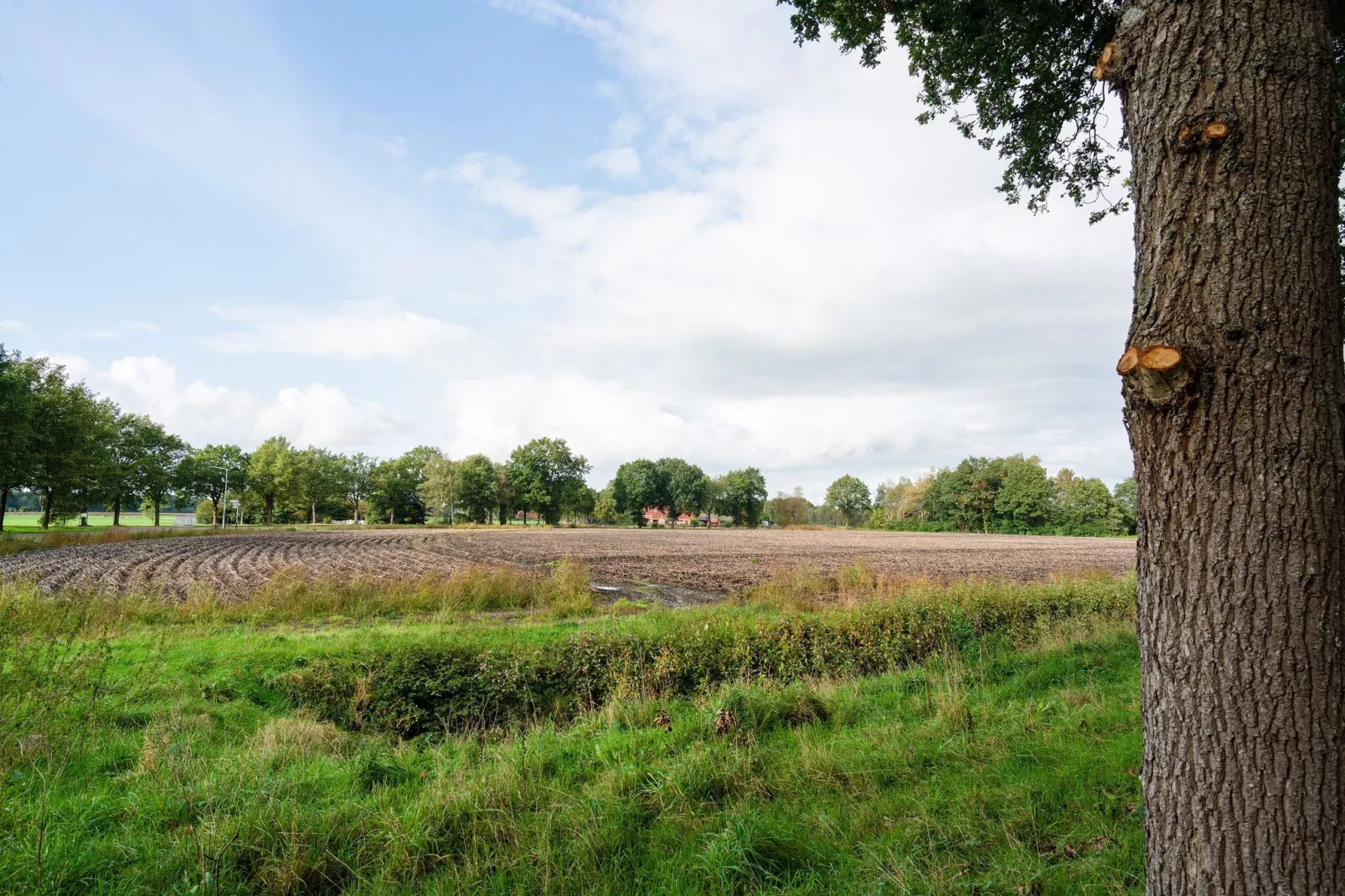 De dikke kei-Gebieden zomer 5km