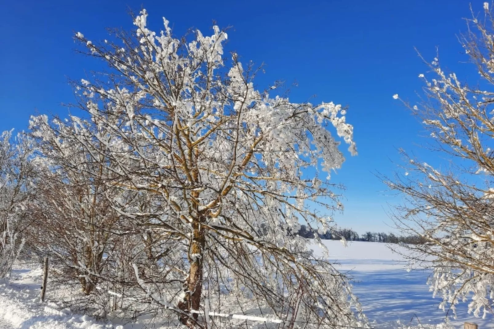 Harzliebe-Gebied winter 5km