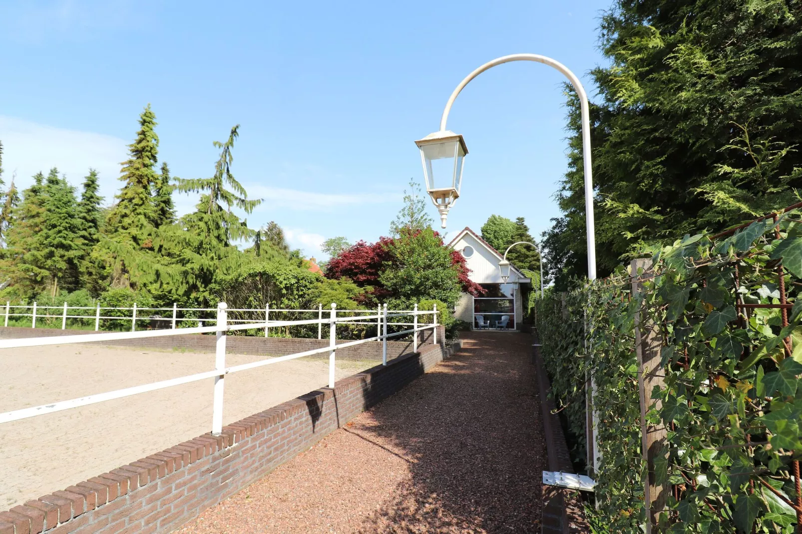 Vakantiehuisje met paard naar Friesland-Buitenkant zomer