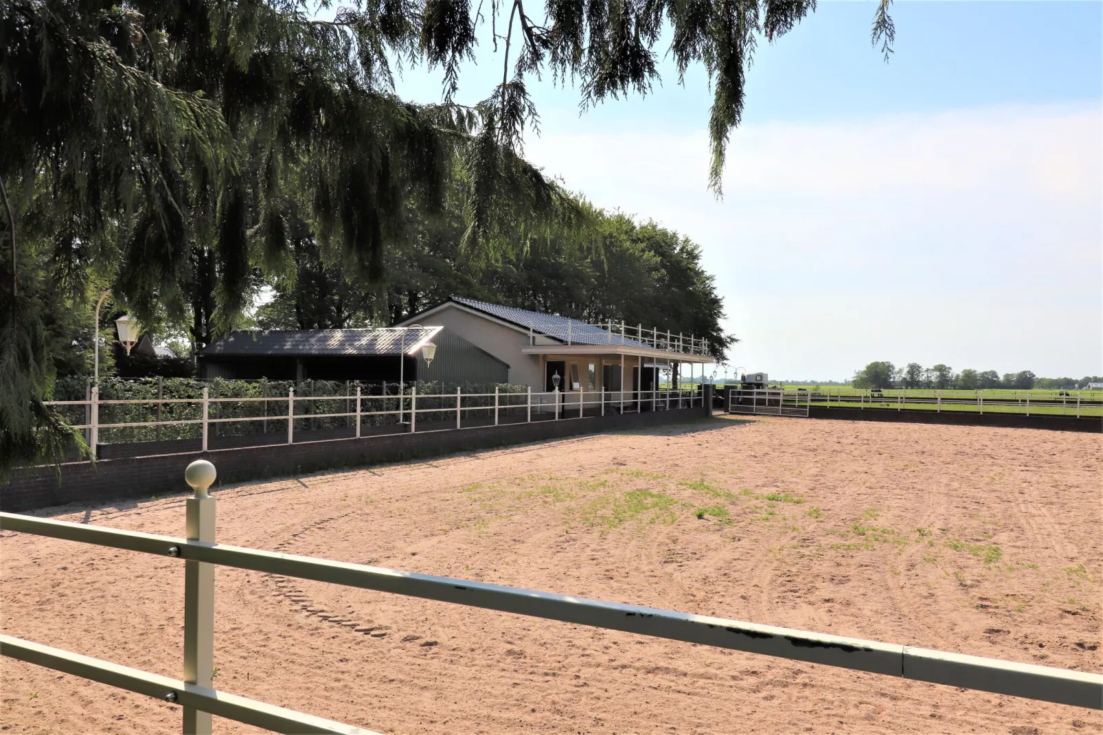Vakantiehuisje met paard naar Friesland-Uitzicht zomer