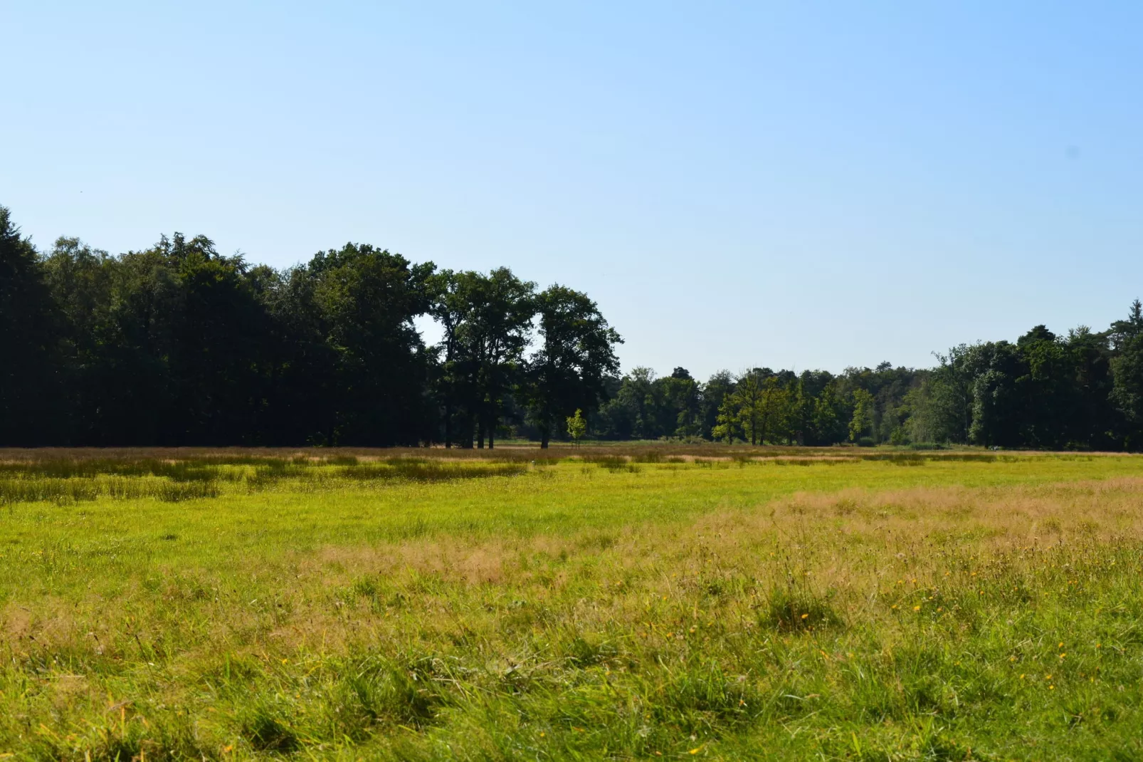 Poort naar de Veluwe-Gebieden zomer 20km