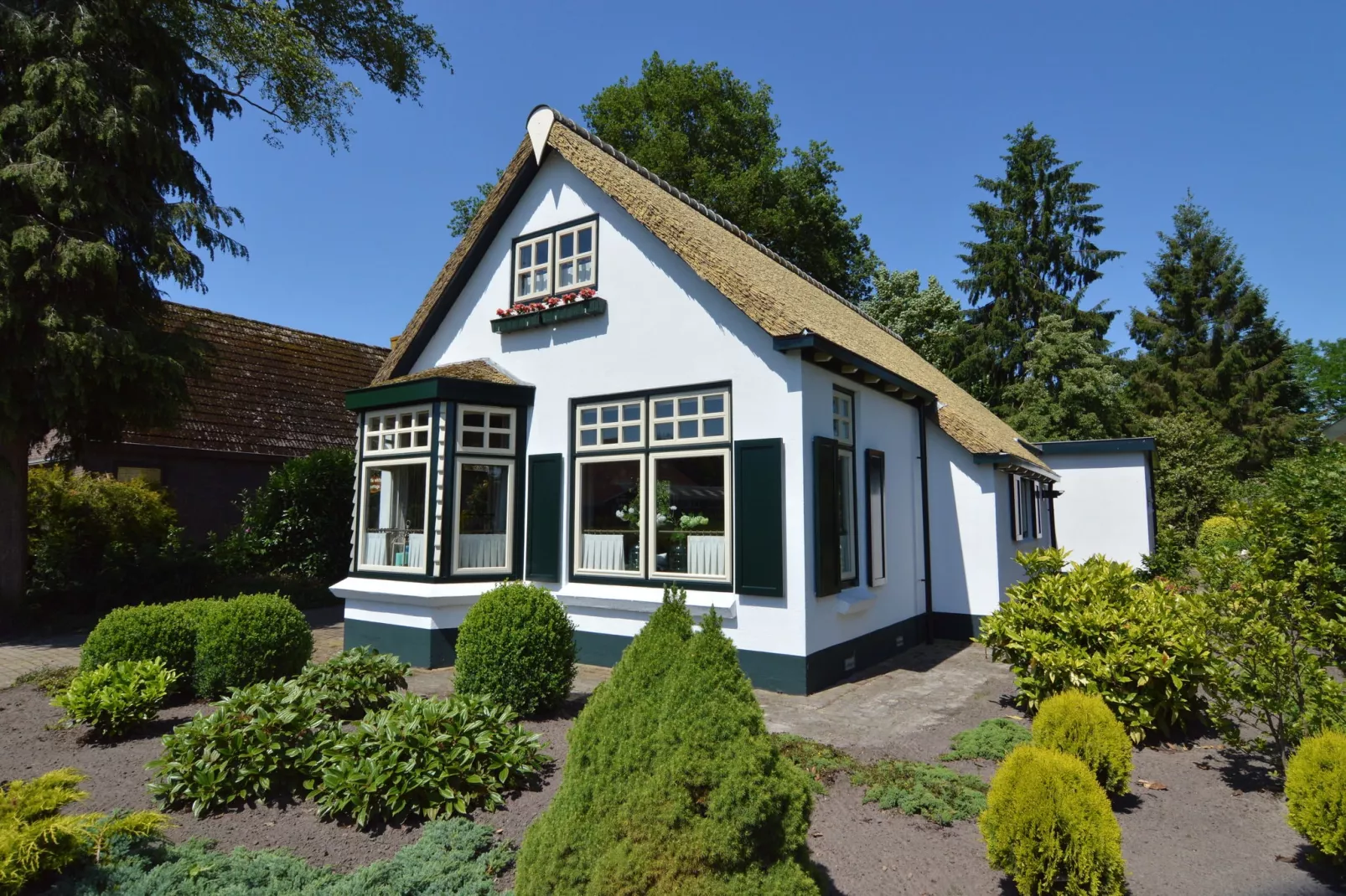 Little White Cottage