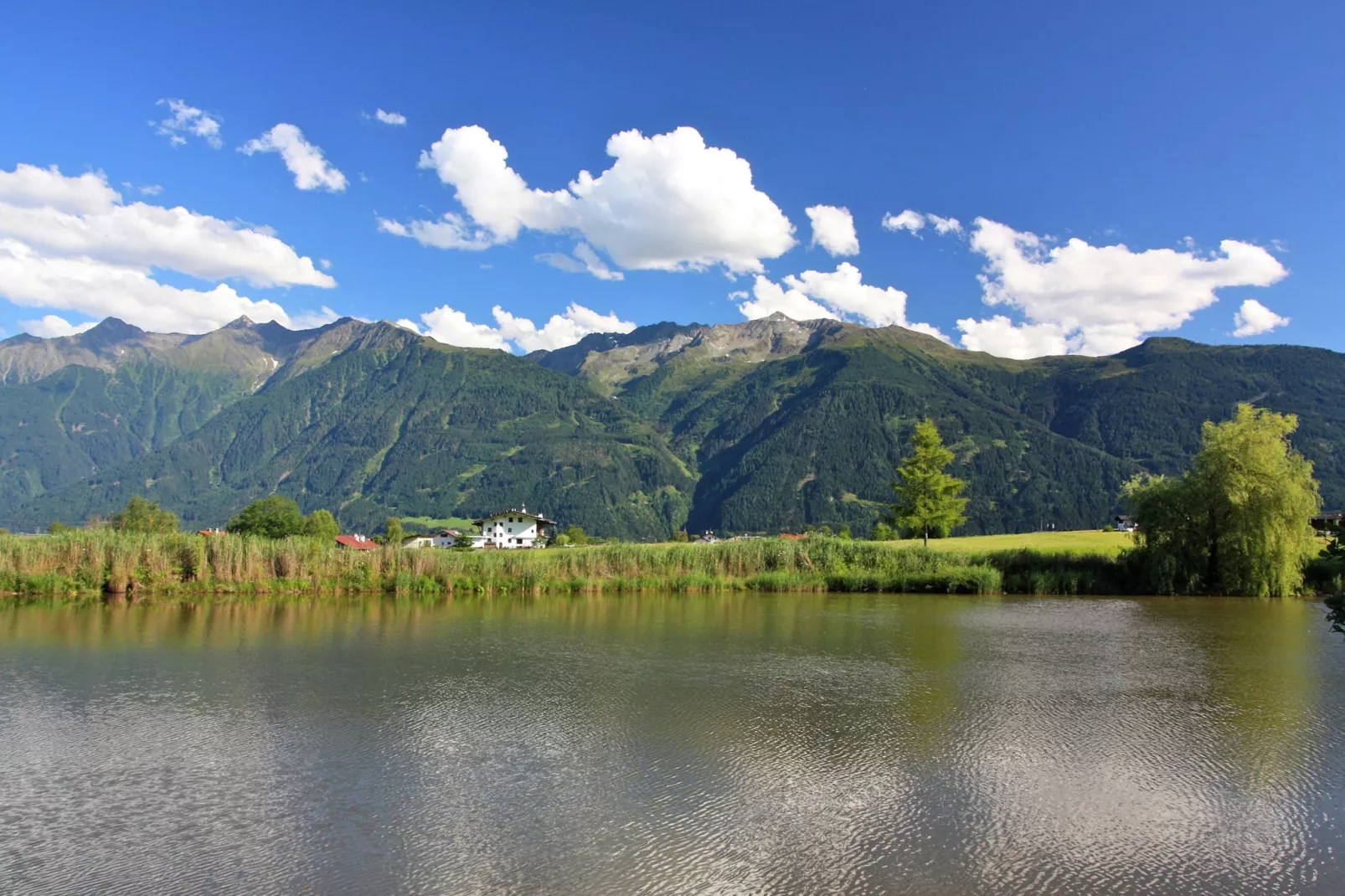 Chalet Westermeyr-Gebieden zomer 1km