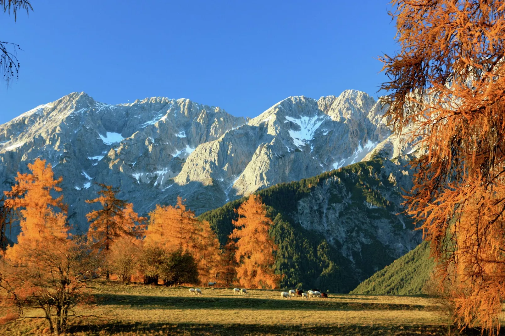 Chalet Westermeyr-Gebieden zomer 5km