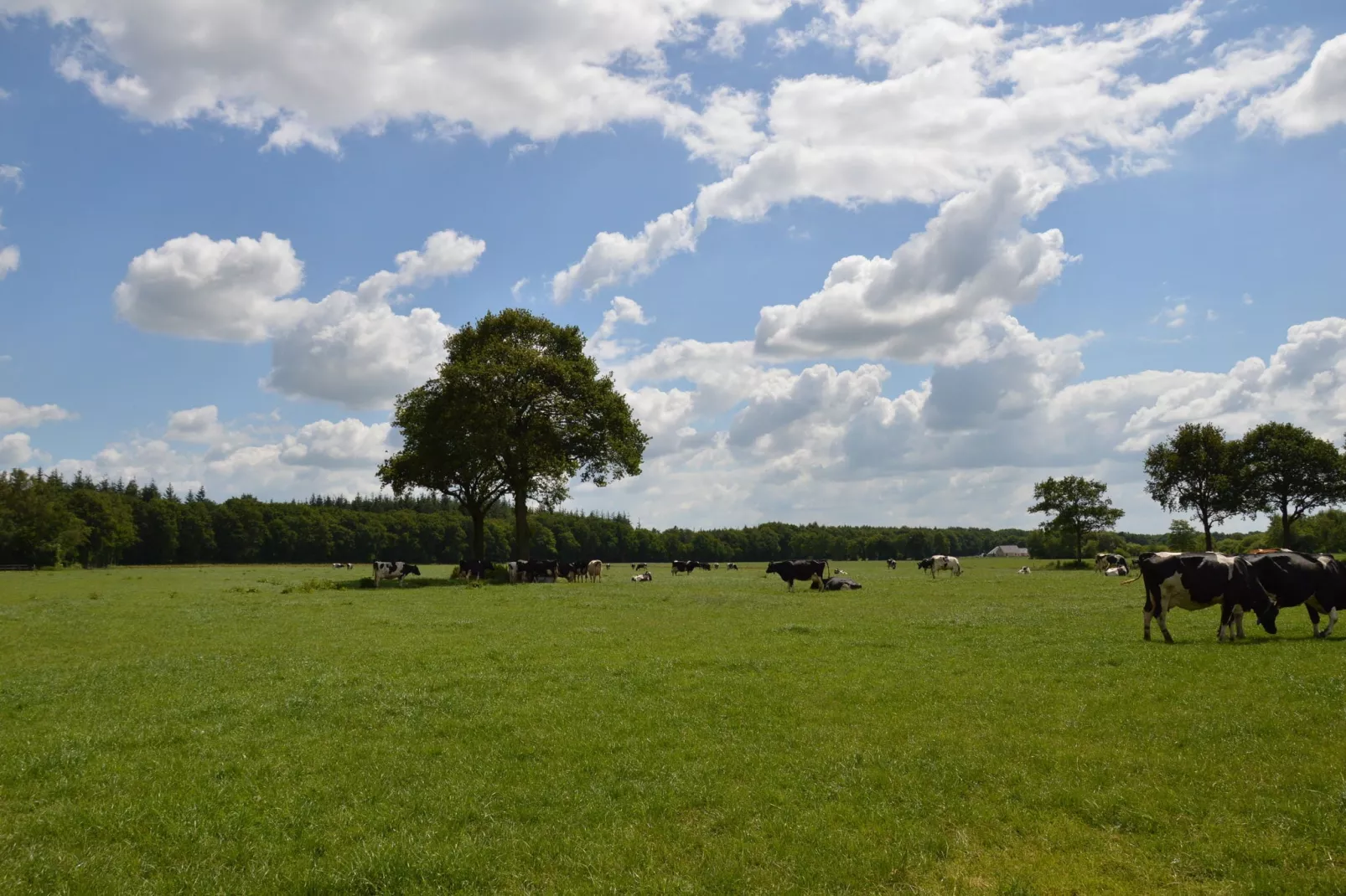 H en H Hoeve-Gebieden zomer 20km