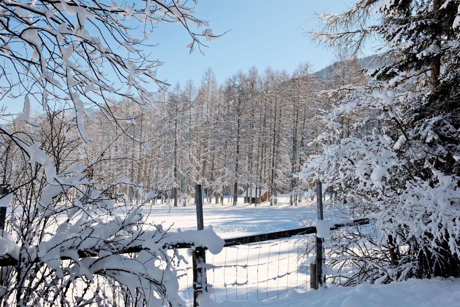 Haus Westermeyr-Gebied winter 5km