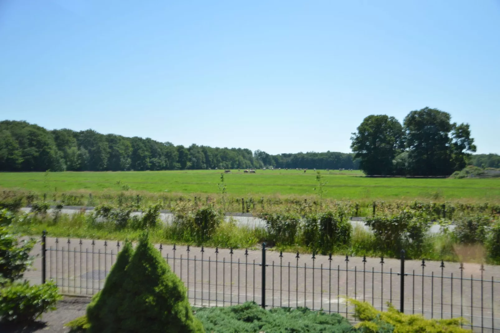 Little White Cottage-Uitzicht zomer