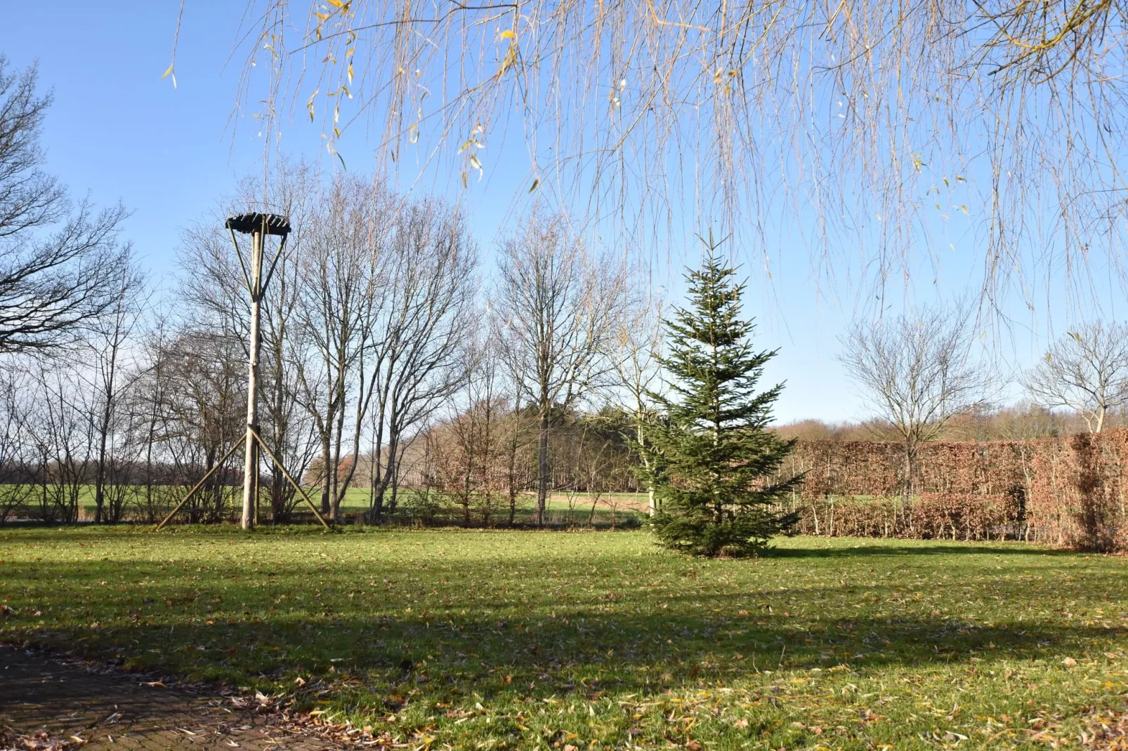 Chalet Vrijzicht-Uitzicht zomer