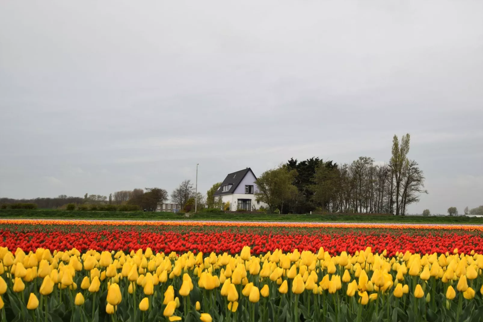 Morgenrood-Gebieden zomer 5km