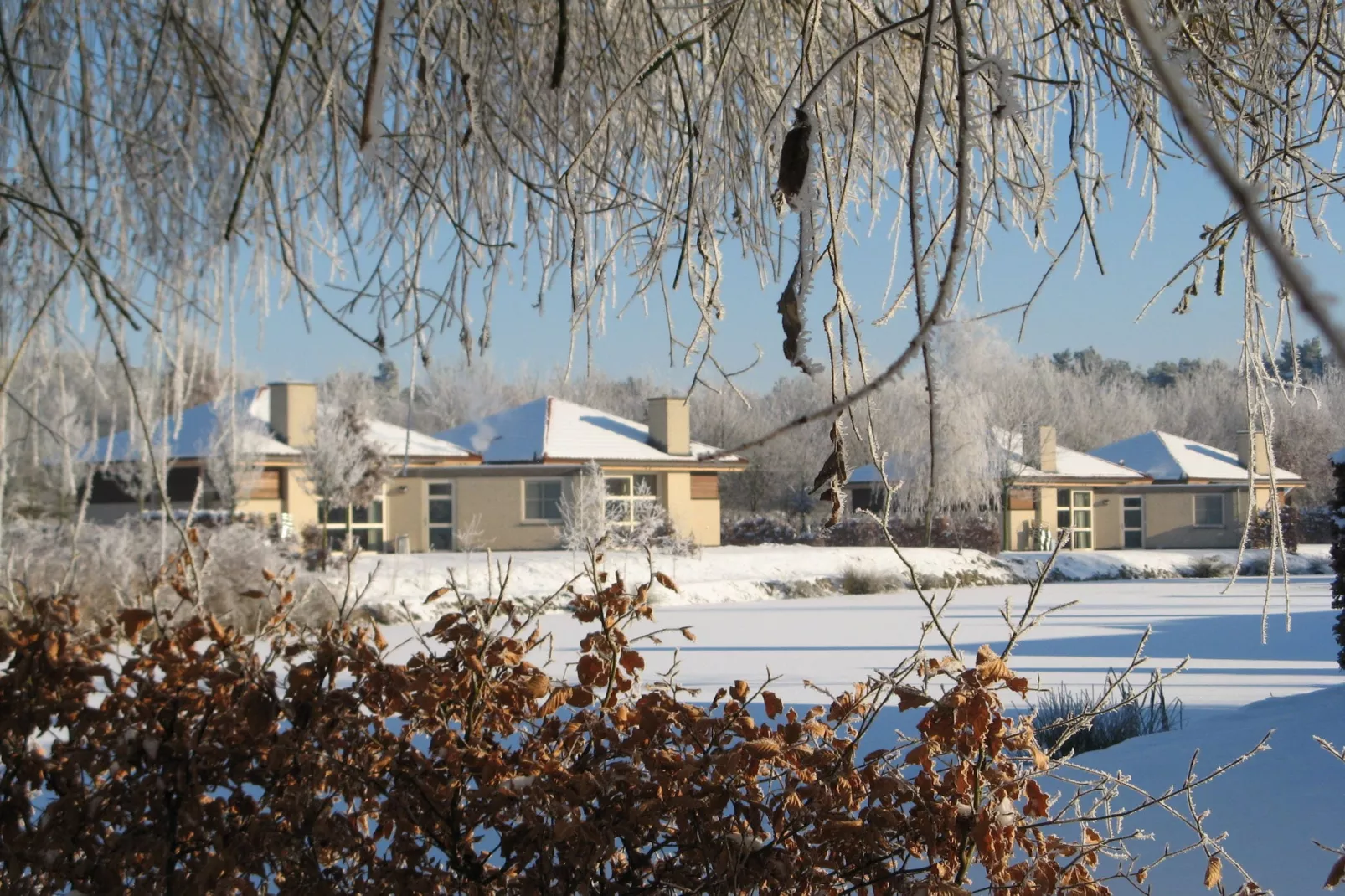 Parc de Witte Vennen 1-Exterieur winter