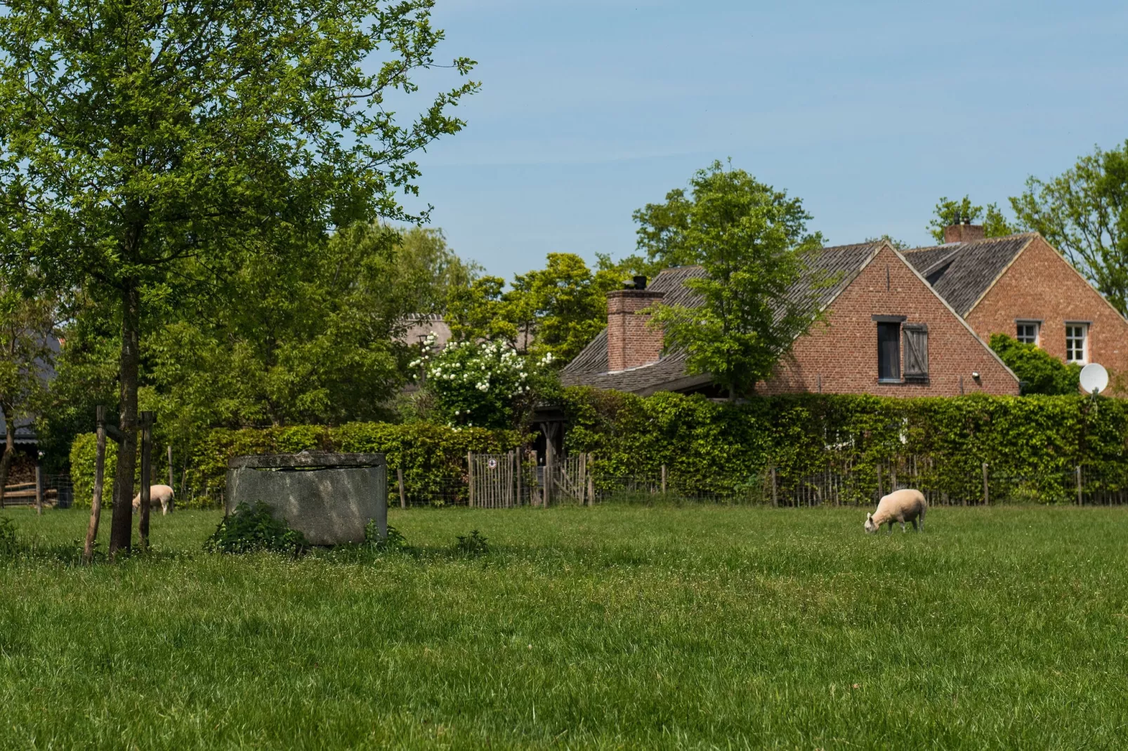 Meidoornhoeve-Uitzicht zomer