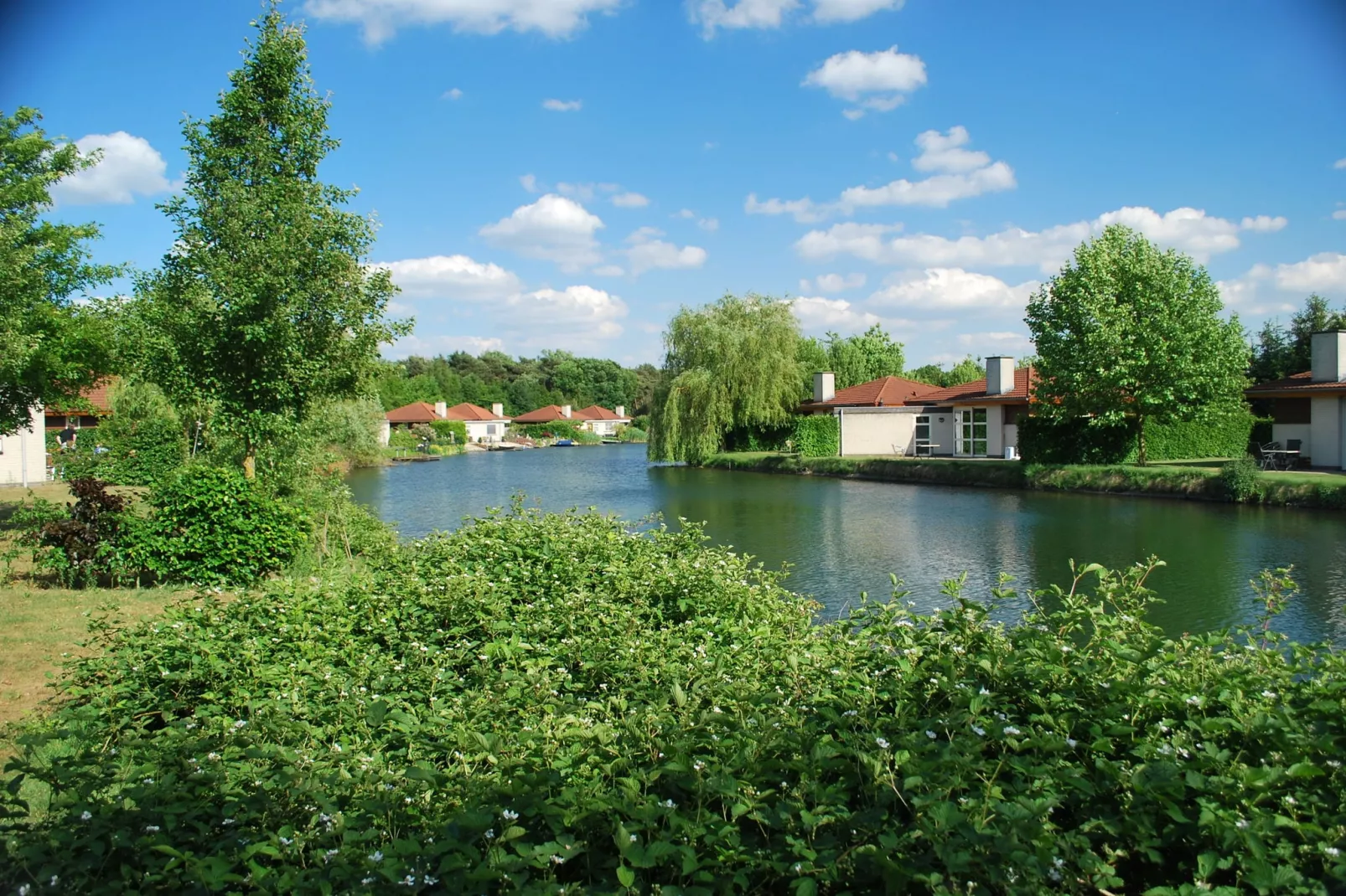 Parc de Witte Vennen 1-Uitzicht zomer