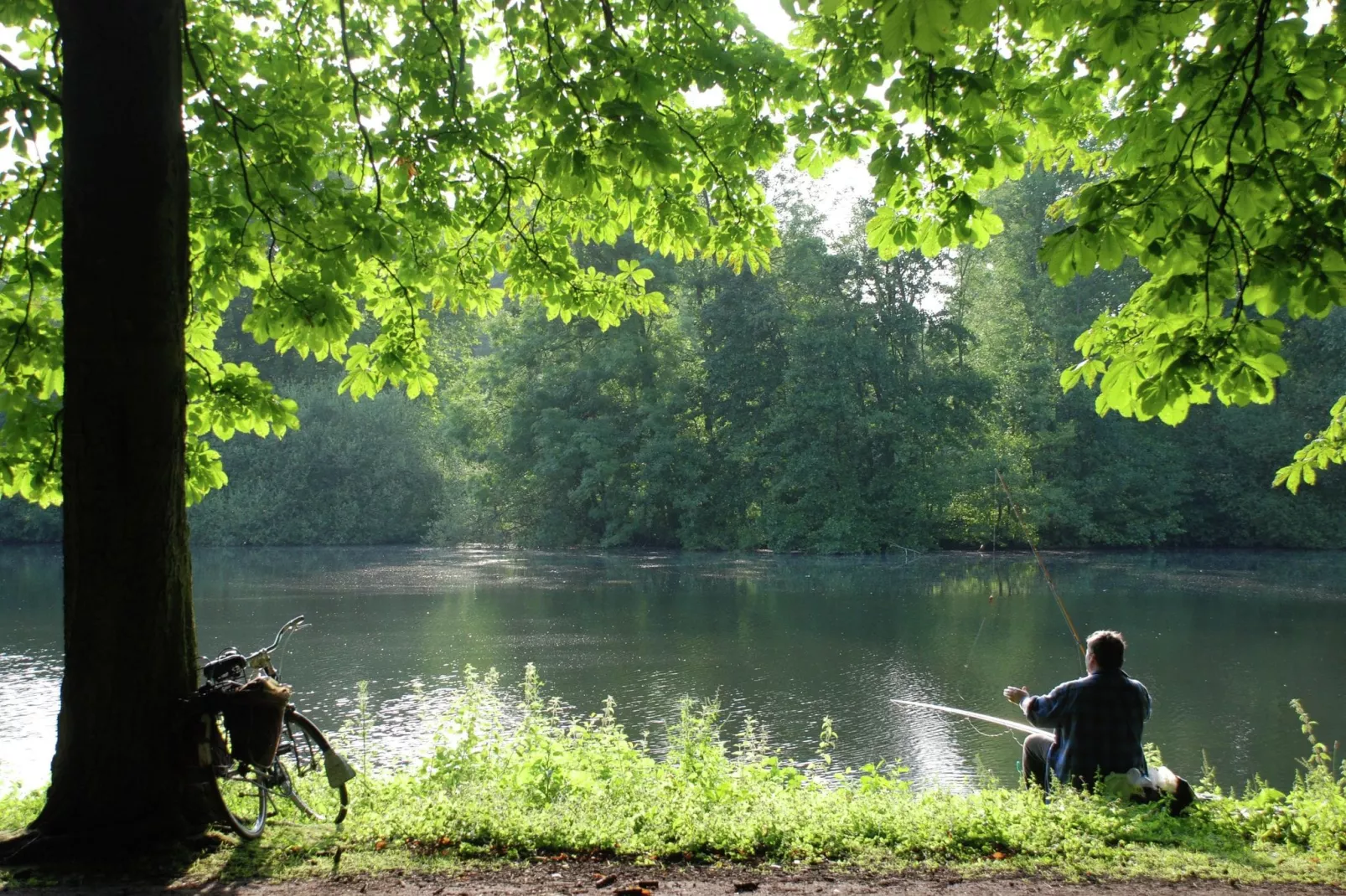 Parc de Witte Vennen 1-Gebieden zomer 1km