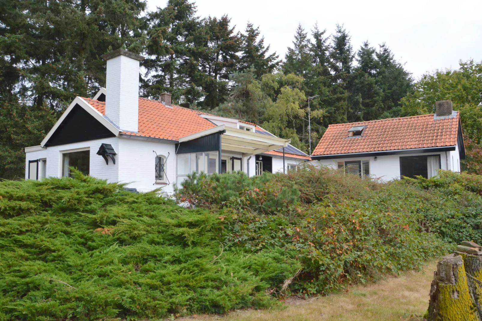 Huis in het bos