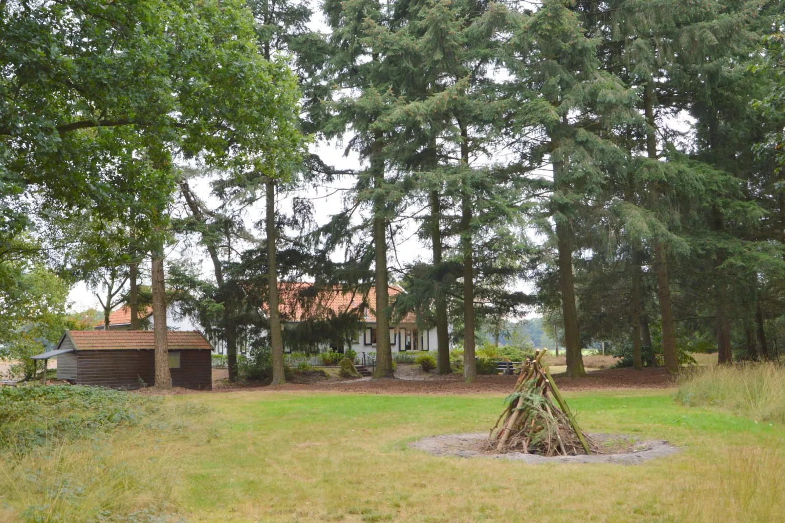 Huis in het bos-Tuinen zomer