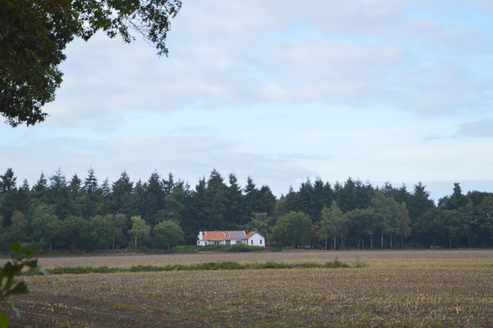 Huis in het bos-Gebieden zomer 1km