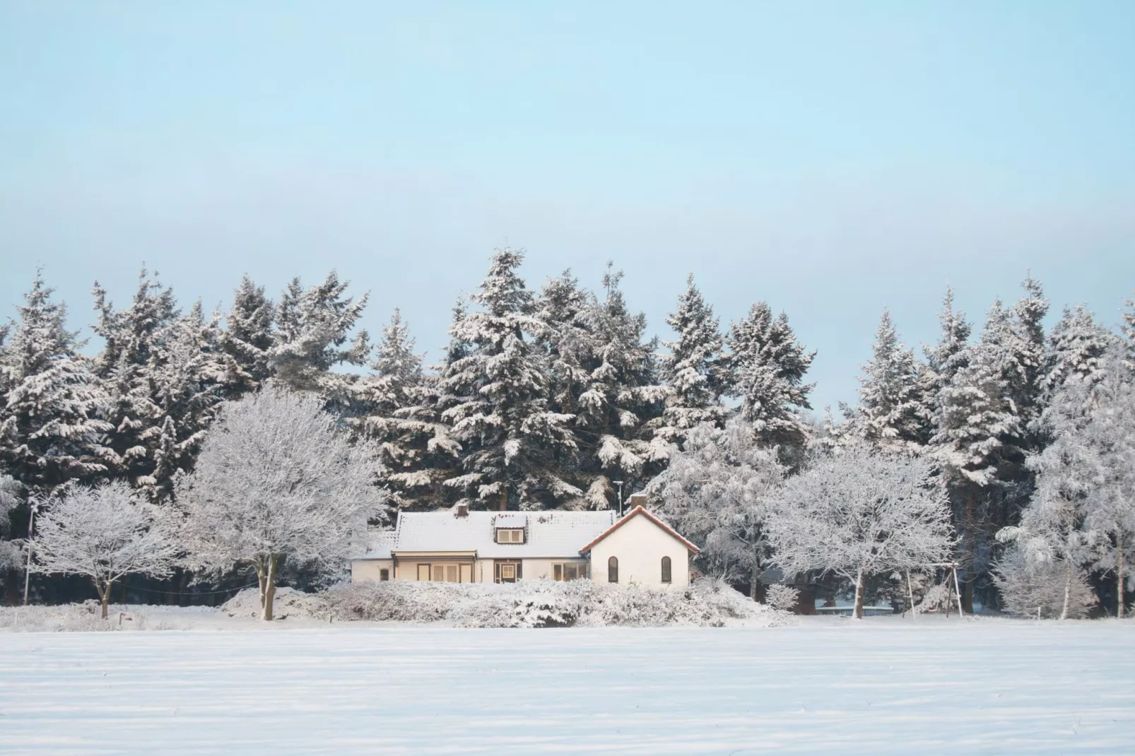 Huis in het bos-Image-tags.