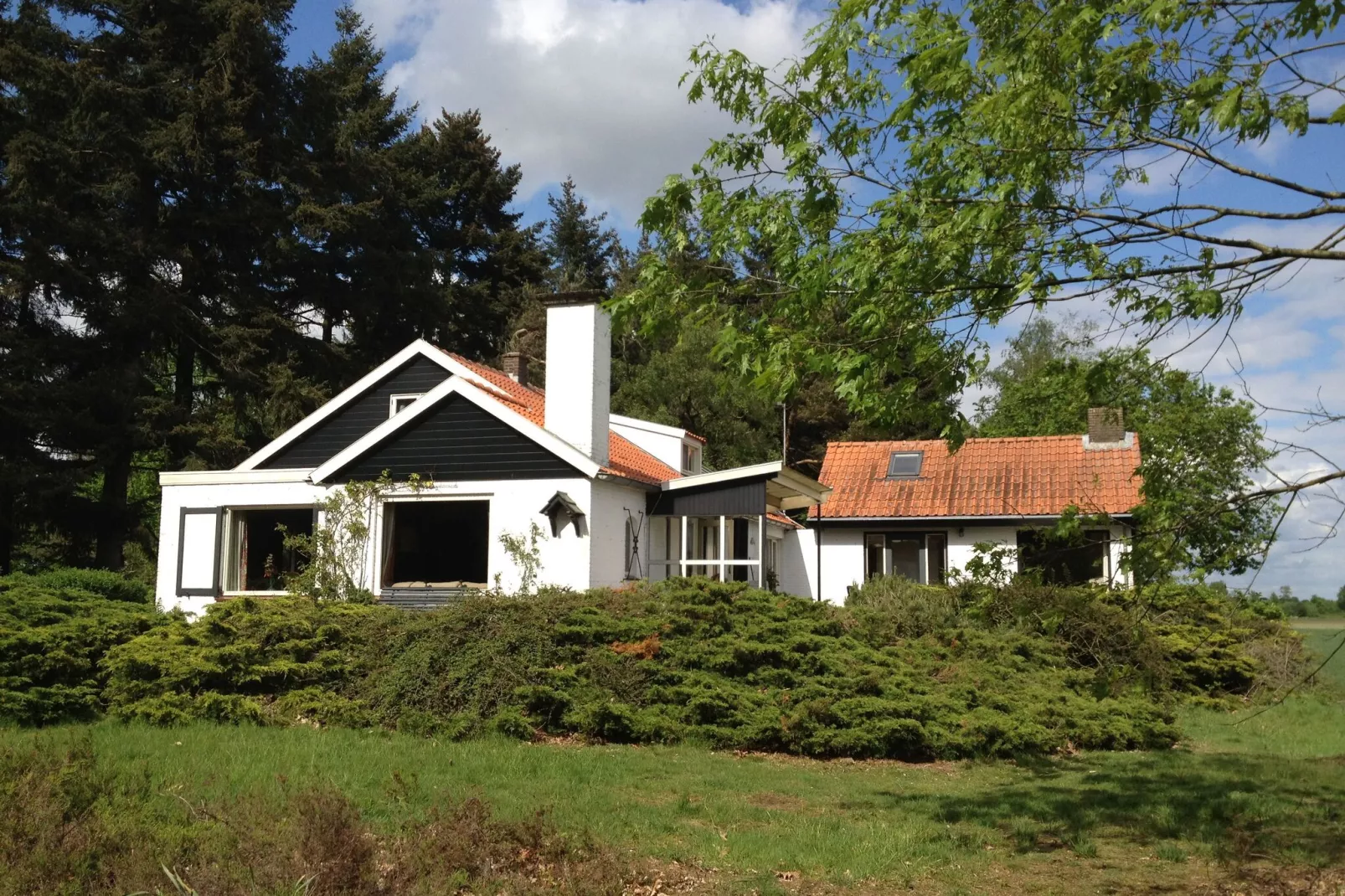 Huis in het bos-Buitenkant zomer