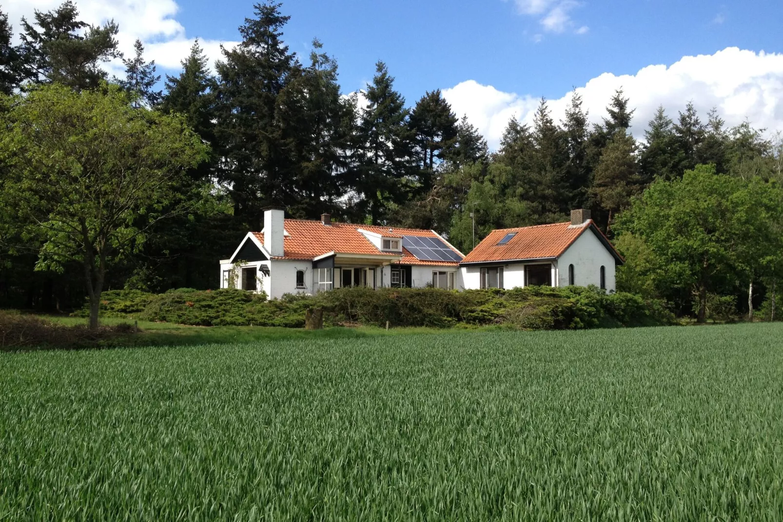 Huis in het bos-Buitenkant zomer