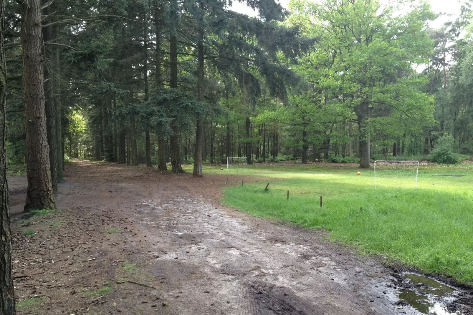 Huis in het bos-Gebieden zomer 5km