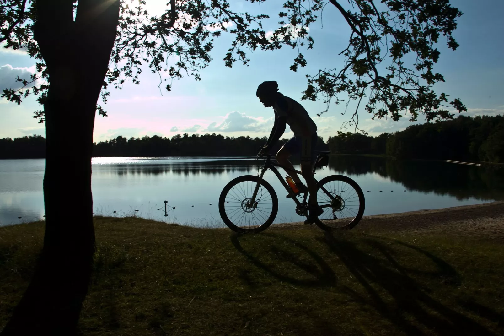 RCN Vakantiepark de Roggeberg 1-Gebieden zomer 1km