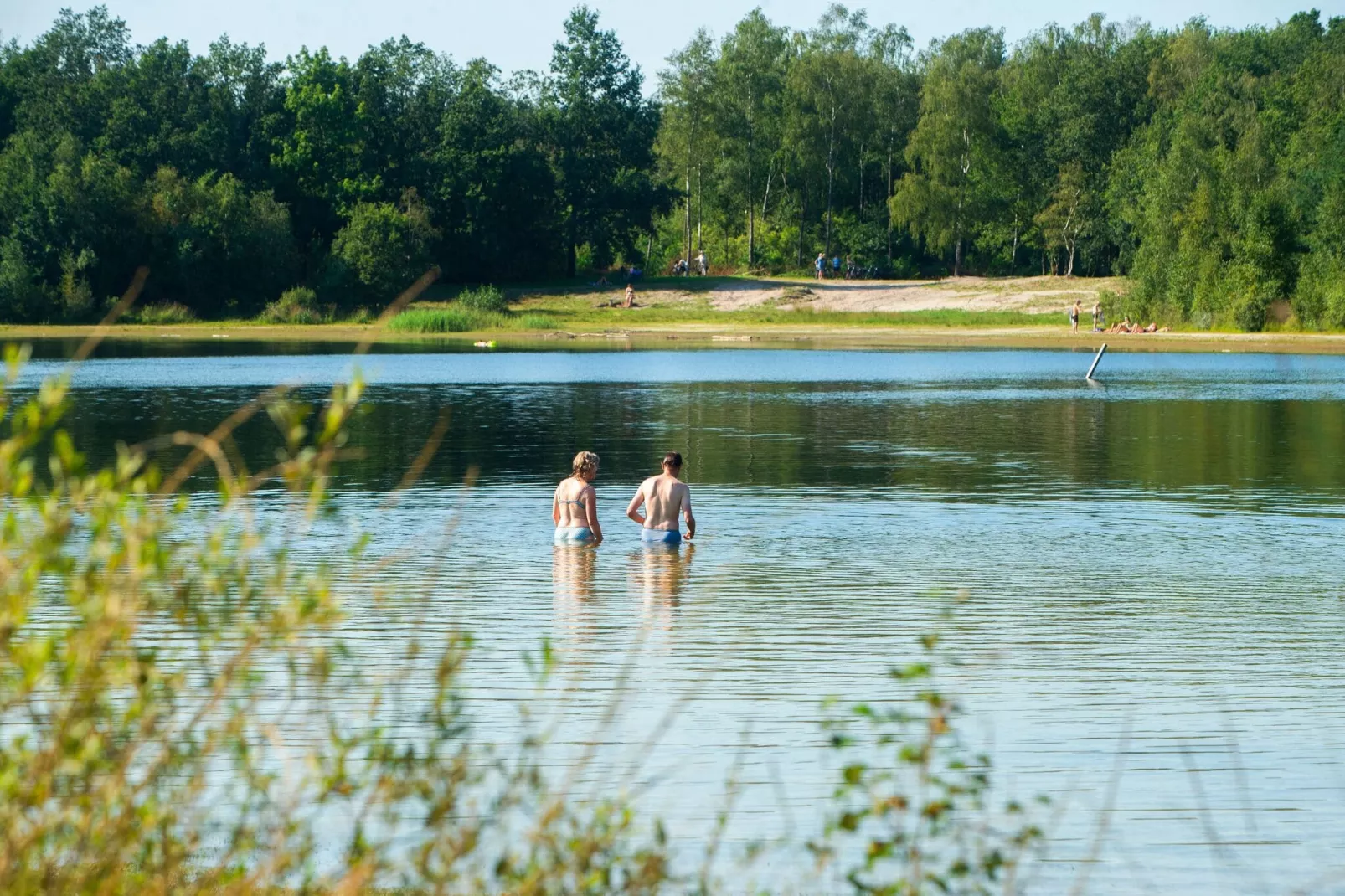 RCN Vakantiepark de Roggeberg 1-Gebieden zomer 5km