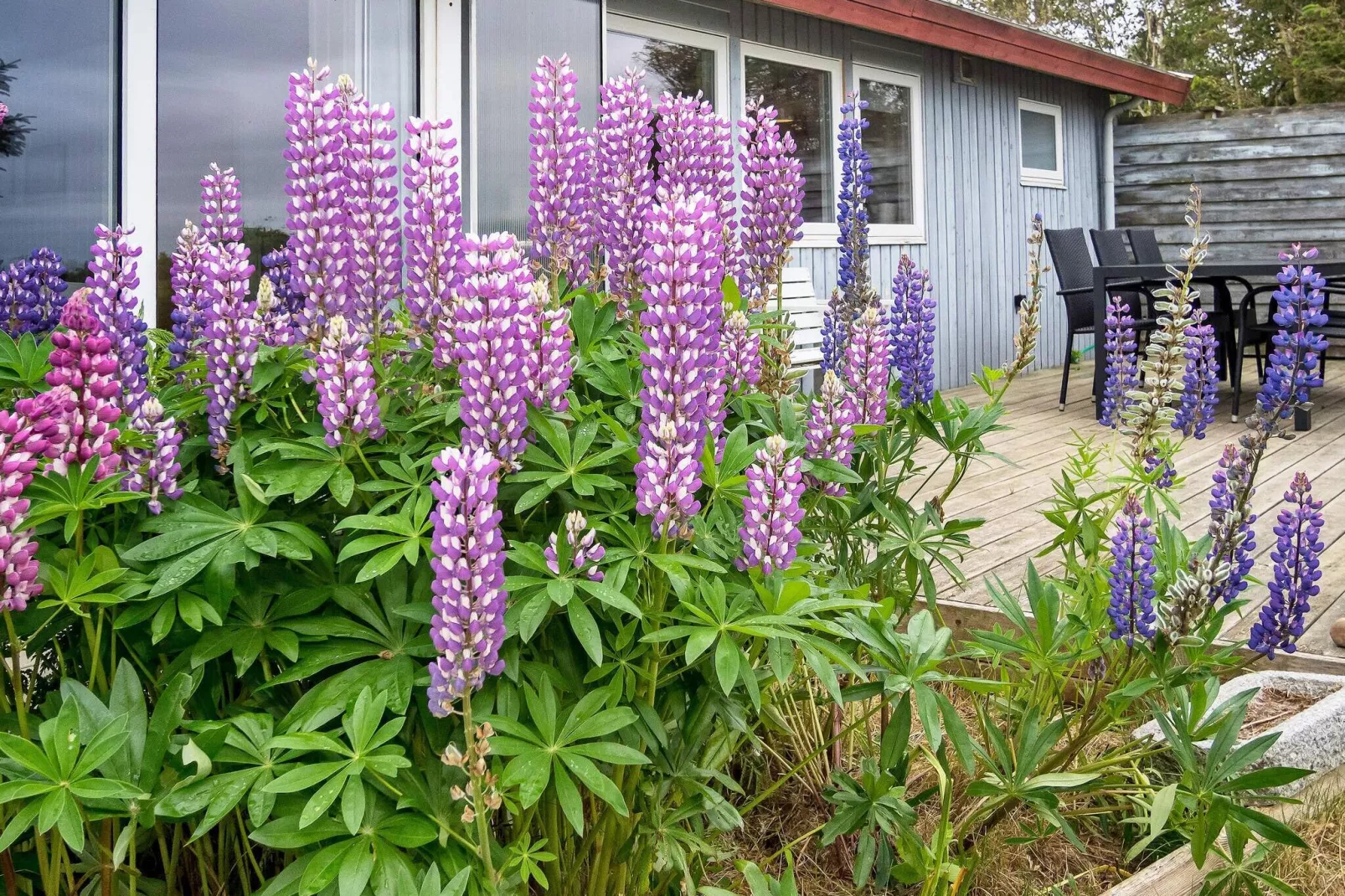 6 persoons vakantie huis in Thyholm-Buitenlucht