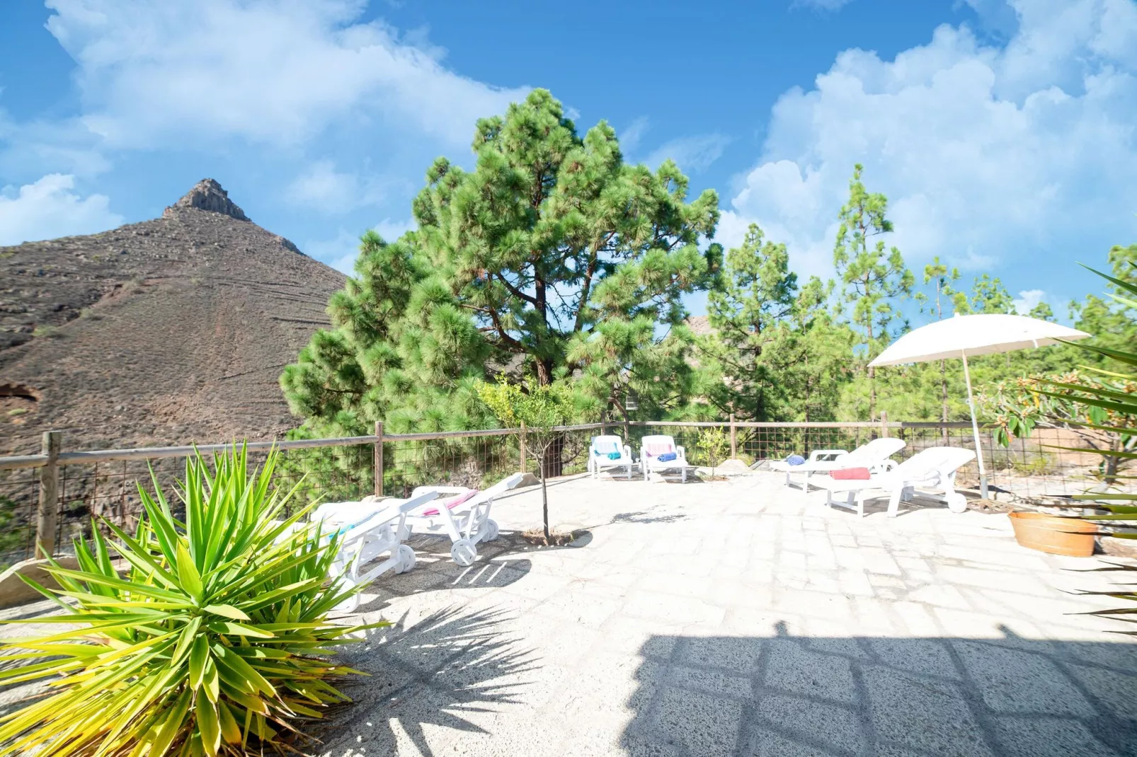 Tenerife Nature Retreat-Tuinen zomer