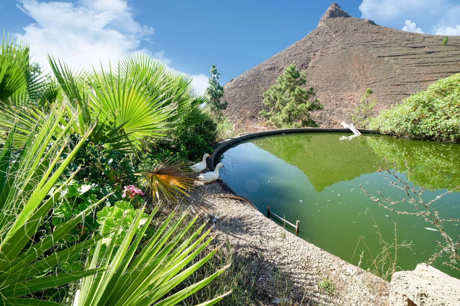 Tenerife Nature Retreat