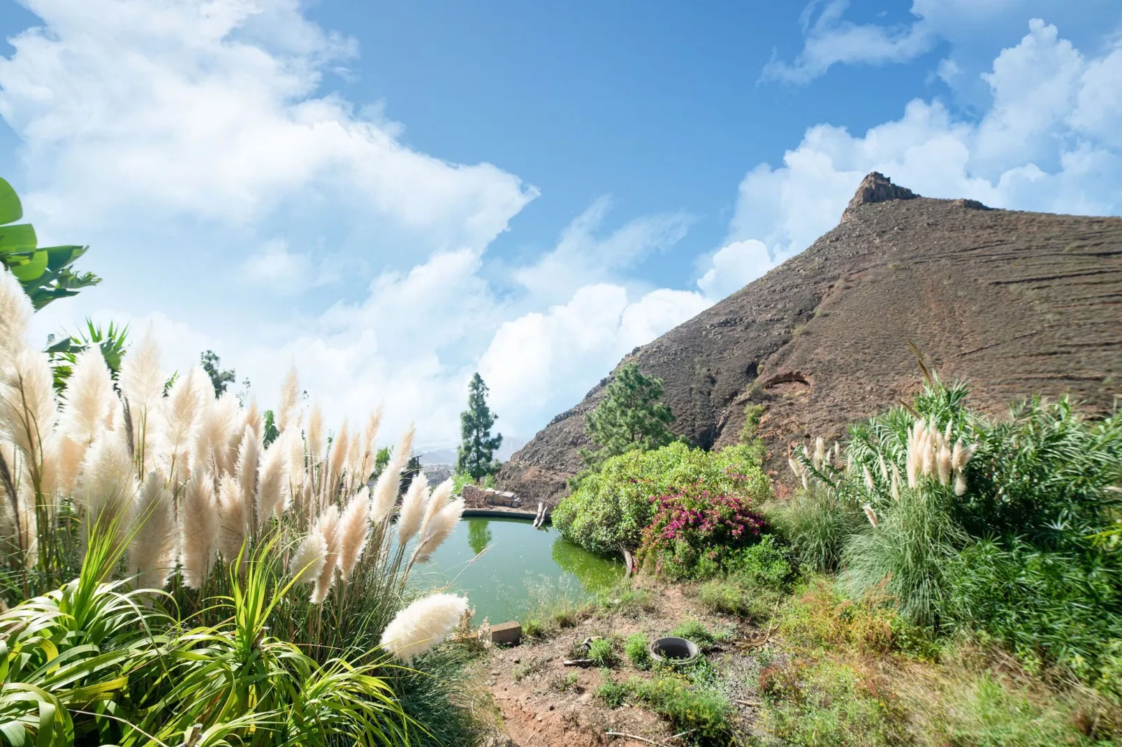 Tenerife Nature Retreat-Gebieden zomer 1km