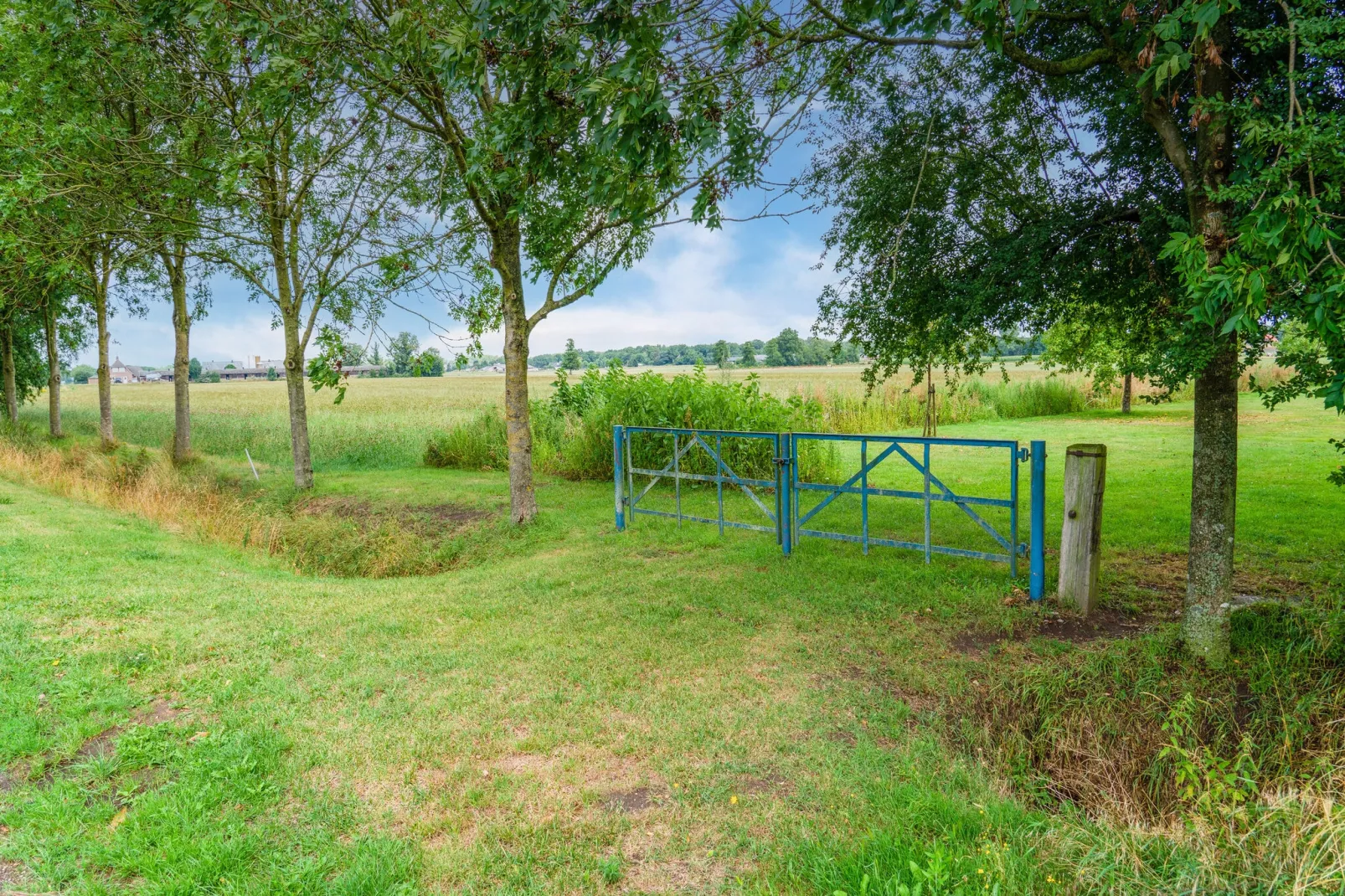 Gulickshof-Gebieden zomer 1km