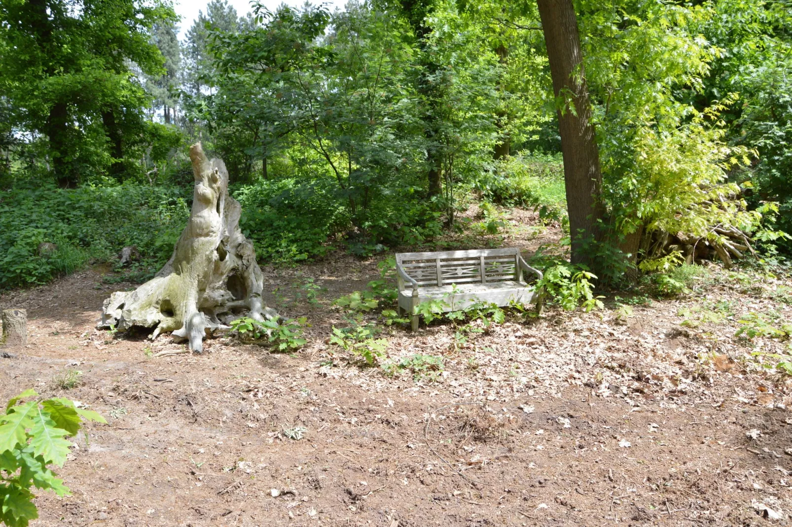 Lodge Maasduinen-Tuinen zomer