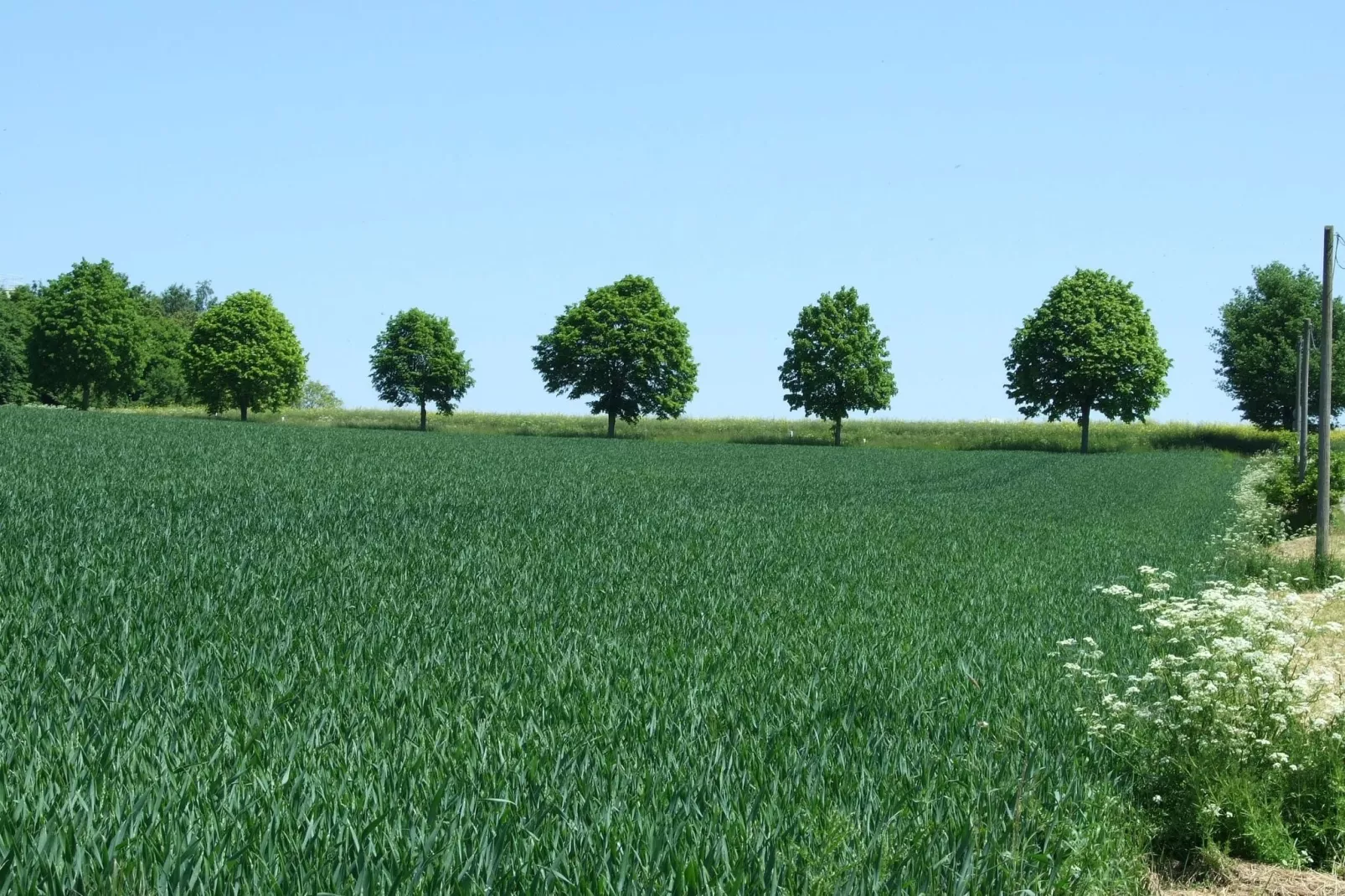 Kaifenheimer Mühle 1-Gebieden zomer 20km