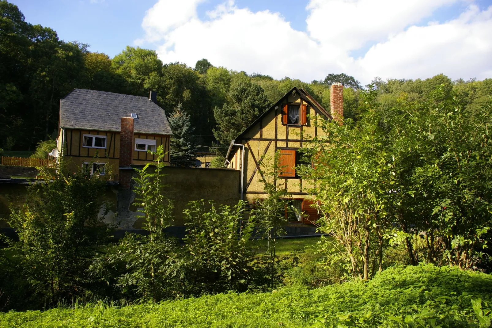 Kaifenheimer Mühle 1-Gebieden zomer 1km