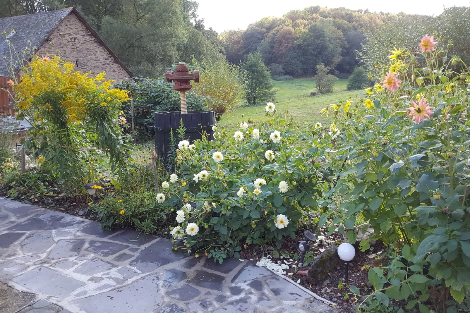 Kaifenheimer Mühle 3-Uitzicht zomer