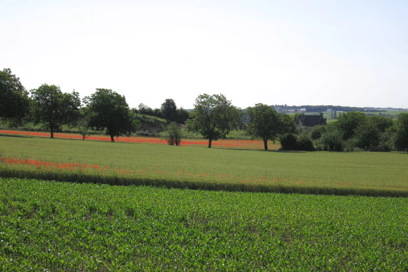 Domaine de Cessigny-Uitzicht zomer