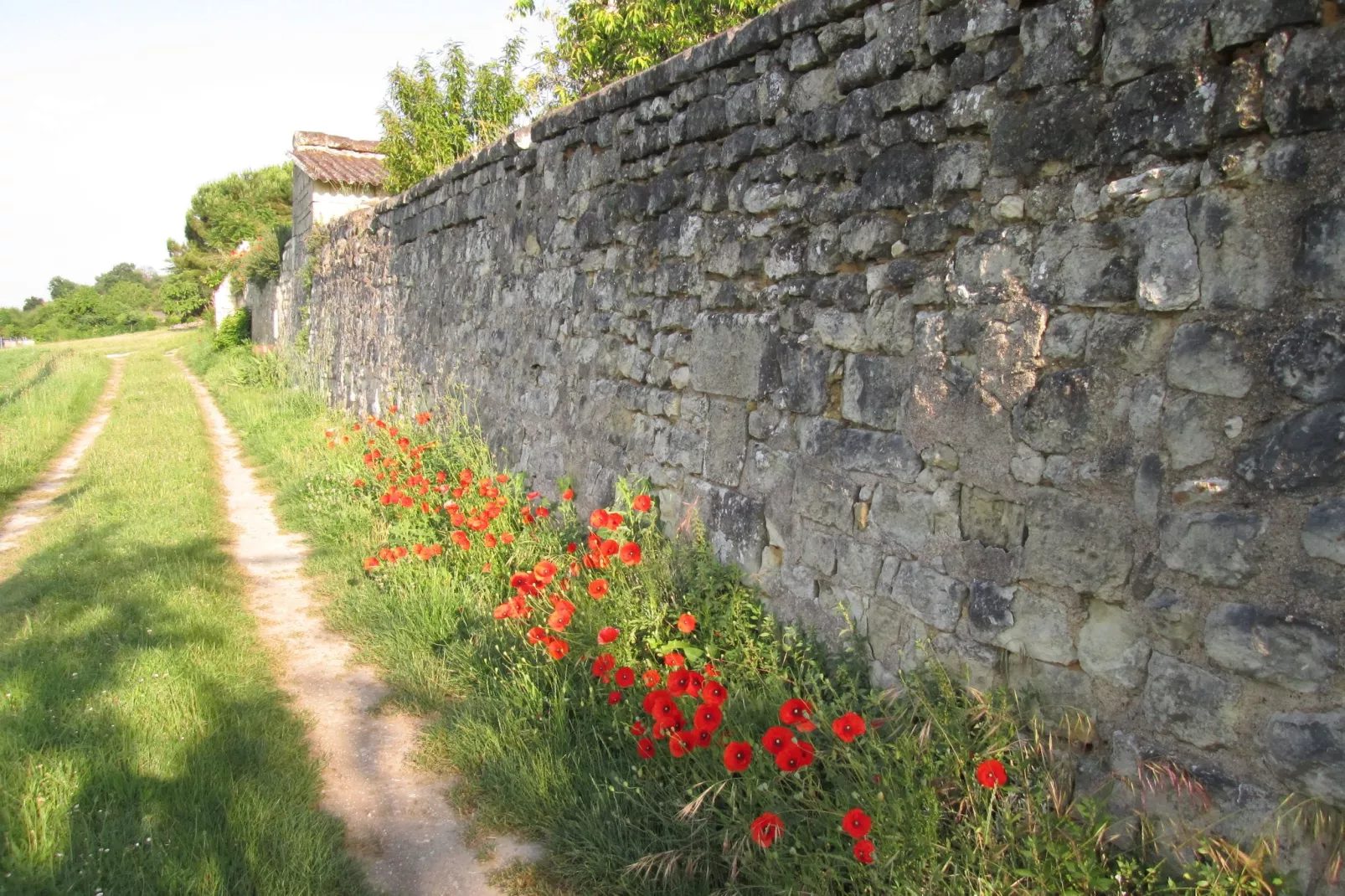 Domaine de Cessigny-Gebieden zomer 1km