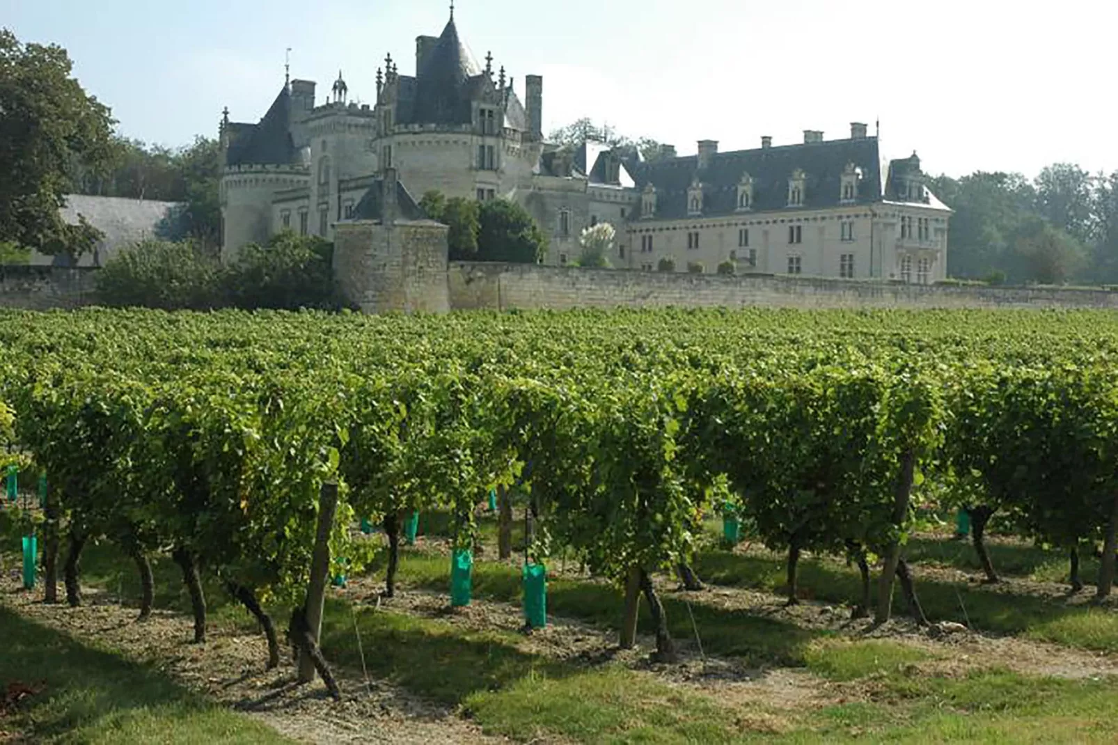 Domaine de Cessigny-Gebieden zomer 20km