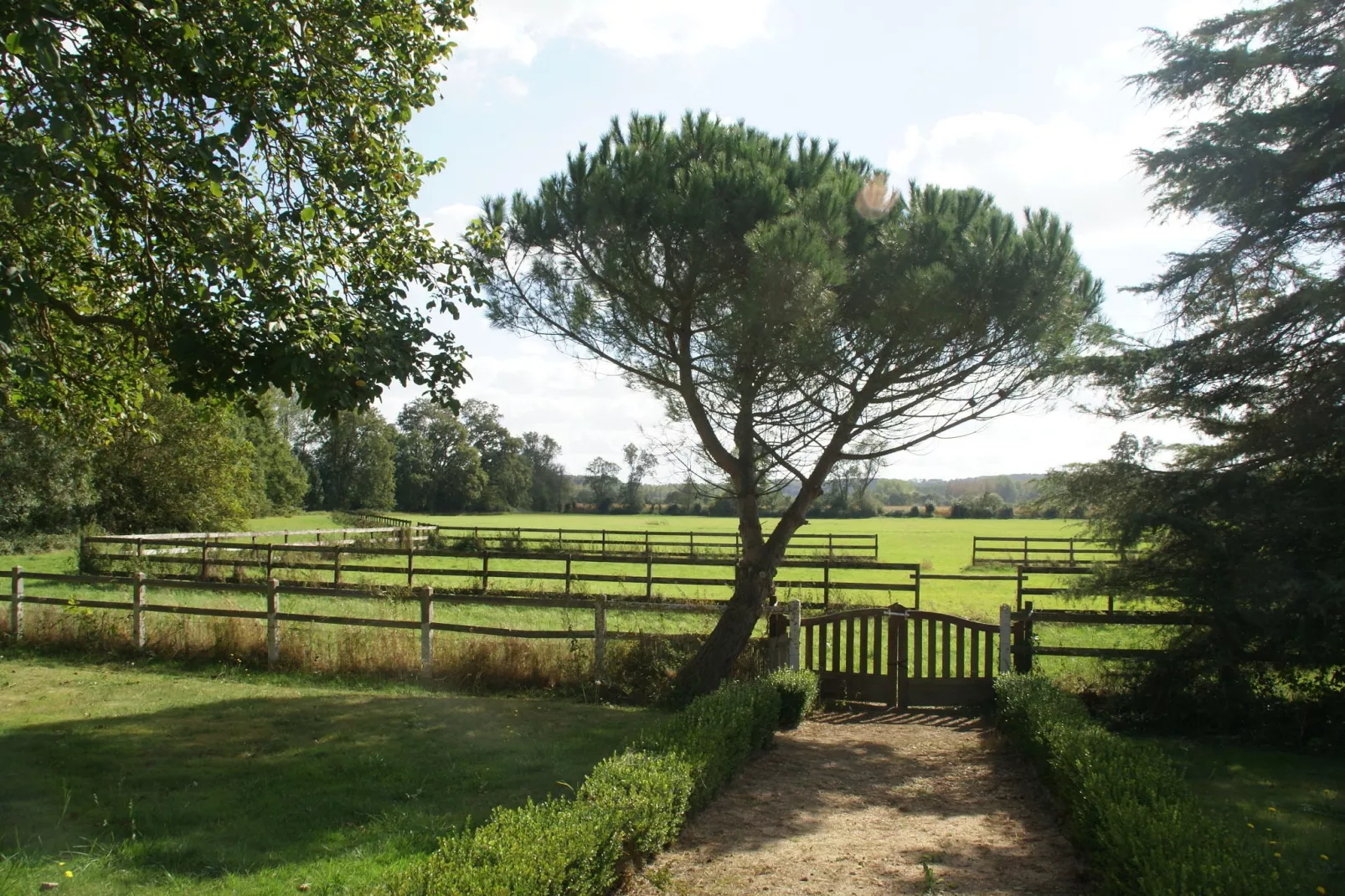 Maison de vacances Cinais-Uitzicht zomer